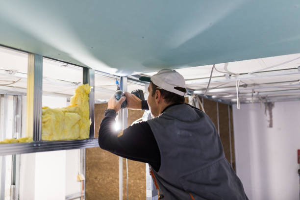 Best Spray Foam Insulation  in Arlington, TX