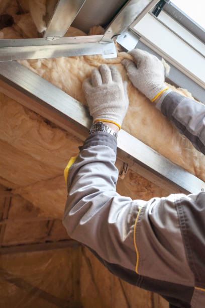 Best Spray Foam Insulation  in Arlington, TX