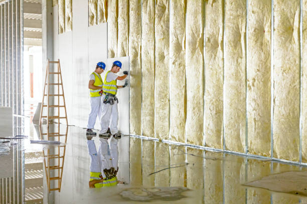 Best Insulation Inspection Services  in Arlington, TX